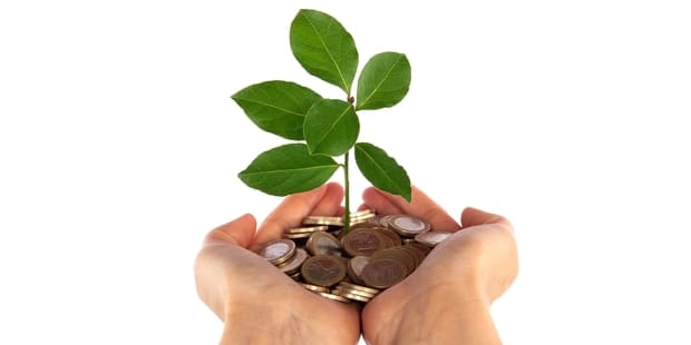 Kids who learn how to earn and save are more likely to grow up financially savvy. Photo / Getty Images