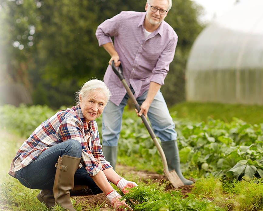Sell or Cash In Life Insurance - Policy Exchange